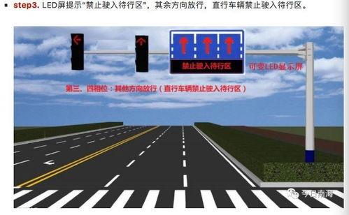 误闯青云路,一场奇幻冒险的奇幻旅程