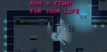 致命逃脱,致命逃脱的惊险之旅